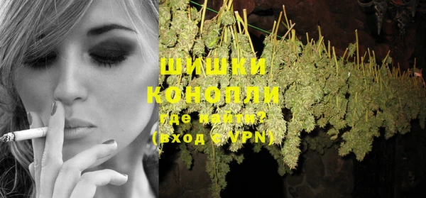 стаф Пересвет