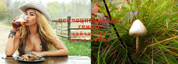 прущие грибы Абдулино