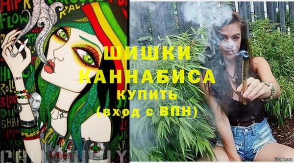 прущие грибы Абдулино